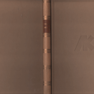 Kaukametsä : esseitä novelleja runoja