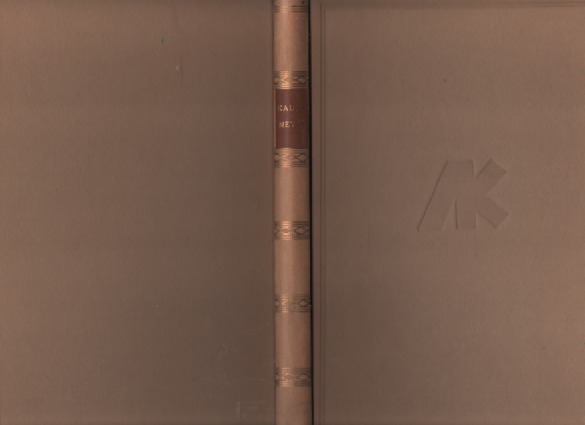 Kaukametsä : esseitä novelleja runoja