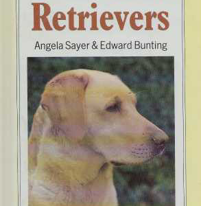 Labrador & Golden retrievers