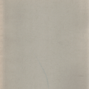 Eripainos Leppävirran kirjasta : Pieksämäki 1967