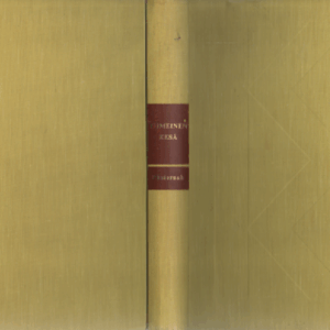 Viimeinen kesä : Novelleja ja omaelämäkerrallista