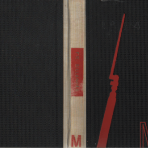 Hurskas kurjuus : päättynyt suomalainen elämäkerta