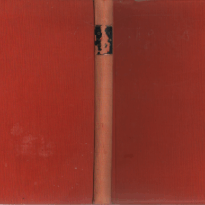 Paistista päästyä : 41 juttua