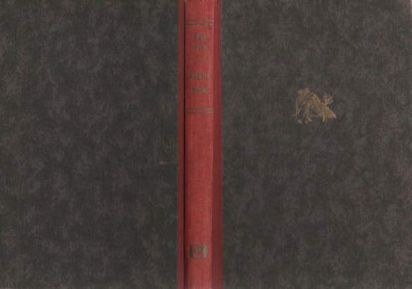 Karjalan kotkat : kahden vapaustaistelijan tarina