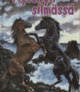 Myrskyn silmässä