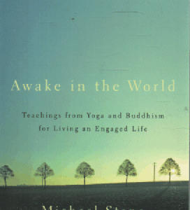 Aweke in the World : Teachings from Yoga and Buddhism for Living and Engaged Life