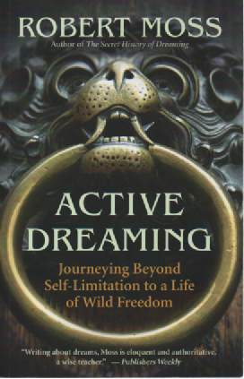 Active Dreaming : Journeying Beyond Self-Limitation to a Life of Wild Freedom
