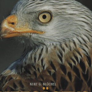 Matsästys (metsästyksen historiaa)