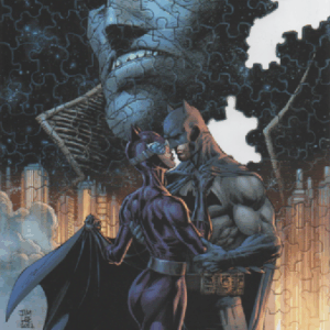 Batman Hush : 20th anniversary edition