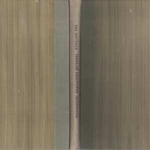 Päämajan kaukopartio saarroksissa