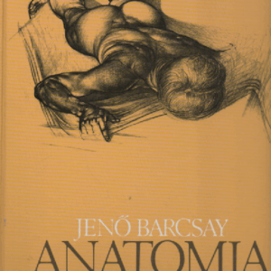 Anatomia : opas taiteilijalle