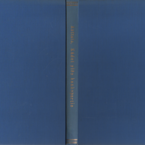 Kädet ylös kaukopartio