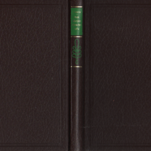 Neiti Marplen viimeinen juttu