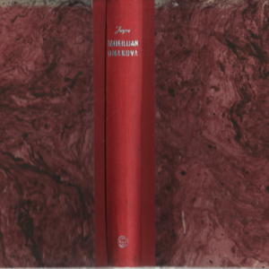 Taiteilijan omakuva nuoruuden vuosilta : romaani