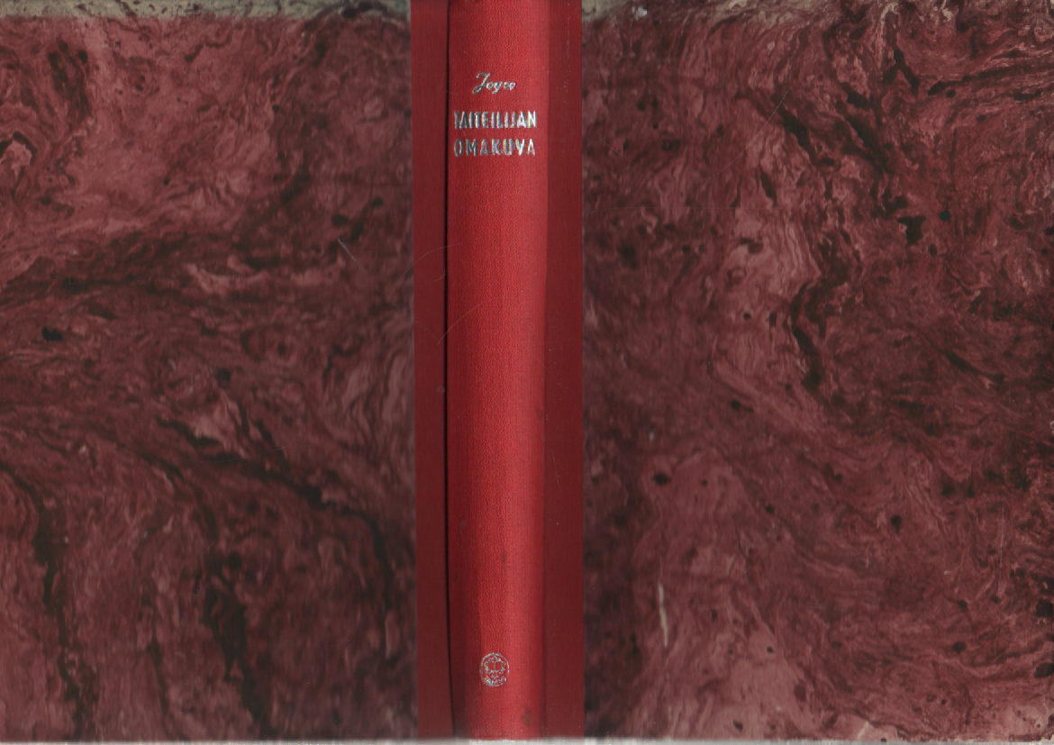 Taiteilijan omakuva nuoruuden vuosilta : romaani