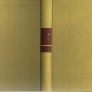 Drina-joen silta : Videgradin kronikka