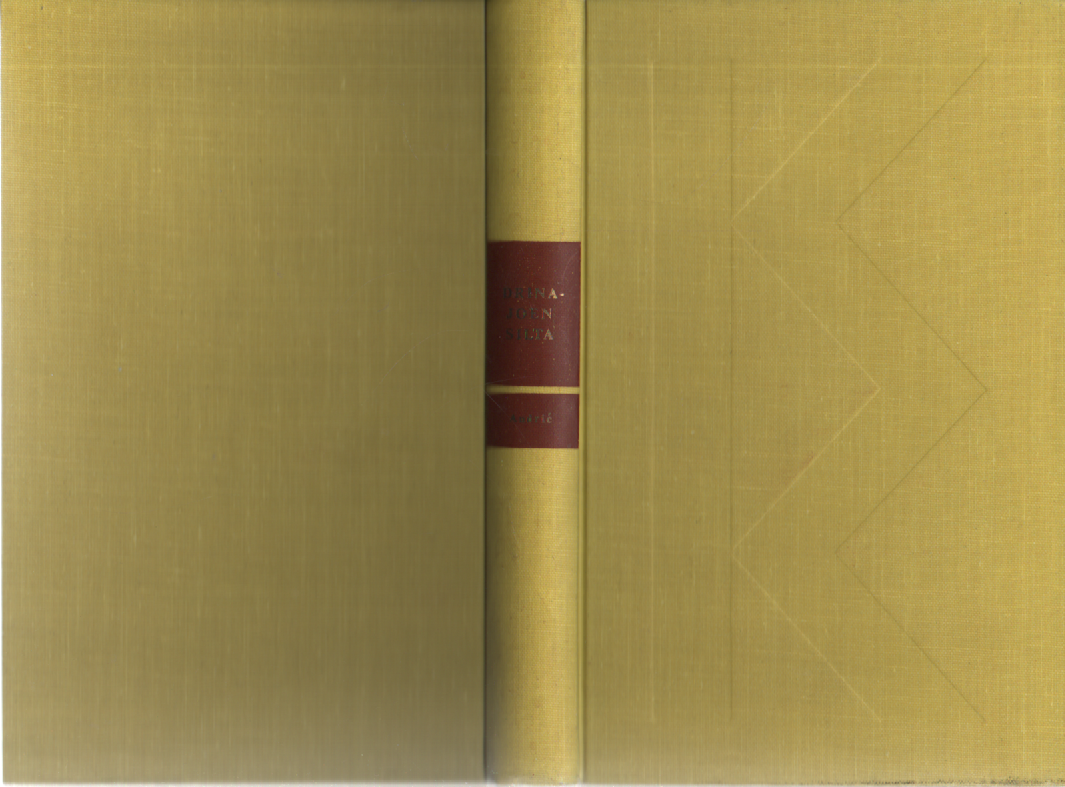 Drina-joen silta : Videgradin kronikka