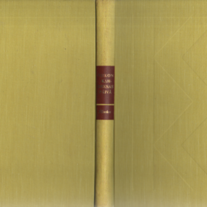 Viikon kahdeksas päivä : Silmukka (1.p.)