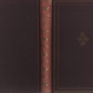 Ihmisen poika : Jeesuksen historia (kuvitettu)