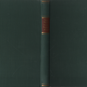 Nuori Volter Kilpi : Vuosisadan vaihteen romantikko