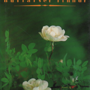 Kultaiset linnut