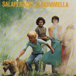 Viisikko salaperäisellä nummella