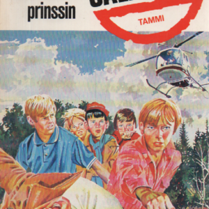 Kadonneen prinssin salaisuus