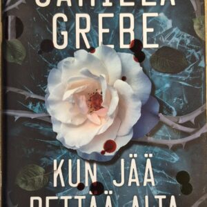 Kun jää pettää alta
