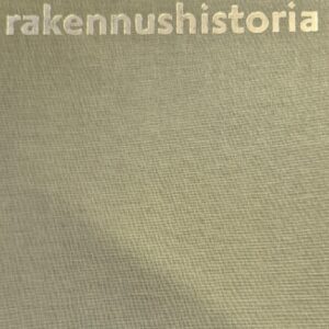 Kuopion kaupungin rakennushistoria : kaupungin rakentamisvaiheita vuodesta 1875 : Kuopion historia. 6