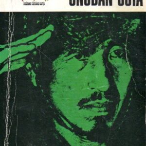 Luutnantti Onodan sota