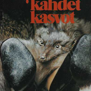 Mabellen kahdet kasvot
