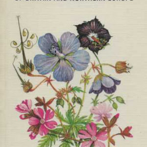The Wild Flowers of Britain and Northern Europe : Over 1200 plants illustrated in colour