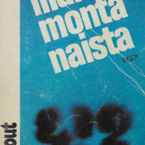 Liian monta naista