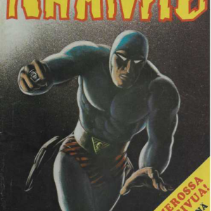 Mustanaamio 1979-18 : Varastetun tavaran kätkijä