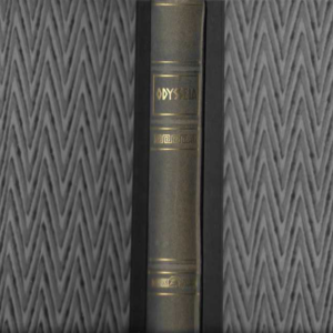 Odysseia (Manninen O. suom.)