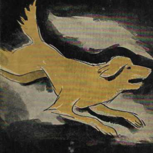 Keltainen koira